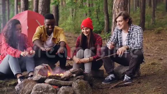多民族的朋友游客围坐在火堆旁谈笑风生年轻人在扔柴火视频的预览图