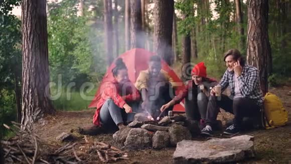 多种族的年轻男女旅行者正在烹饪食物烤着棉花糖坐在森林里烤火视频的预览图