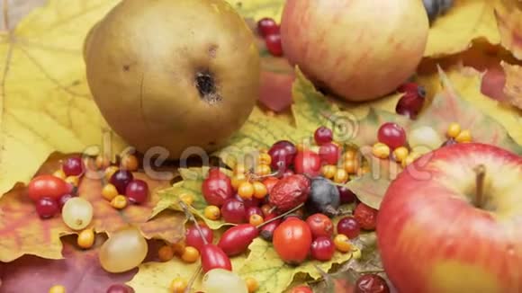 秋天的水果和浆果在五颜六色的叶子上视频的预览图