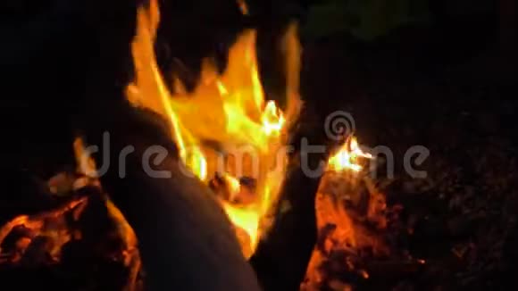 着火了篝火晚会黑色背景下燃烧火焰的特写镜头慢动作视频的预览图
