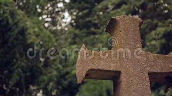 古老的石十字架在飘扬的树枝的背景下视频的预览图