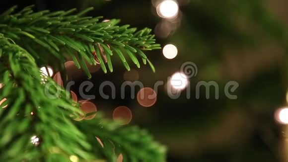 圣诞树的特写视频的预览图