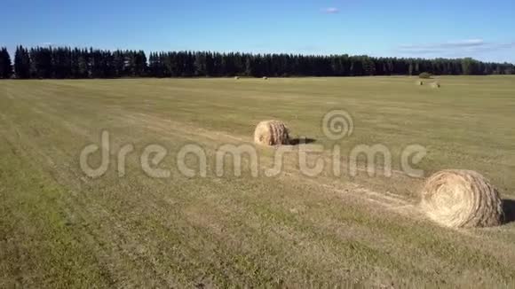 空中金色稻草捆在田野和无人机阴影上视频的预览图