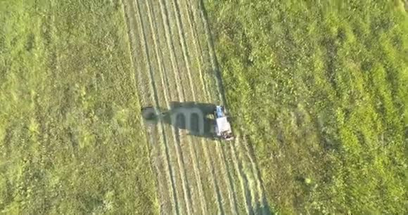 田野里有青草的痕迹视频的预览图