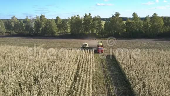 自行式饲料收割机将玉米装入车辆视频的预览图