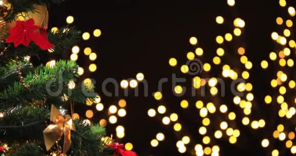 圣诞树树枝上挂着装饰球的女孩视频的预览图
