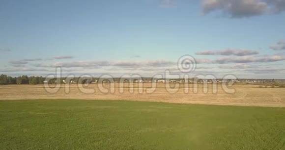 在蓝天的映衬下观赏金色和绿色的大田野视频的预览图