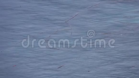 在台湾用渔网在公海捕鱼的拖网渔船空中景观视频的预览图