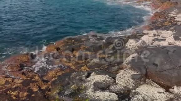 空中射击海浪圆形的盘旋的波浪溅起蓝色和绿松石的颜色和火山石的海岸线视频的预览图