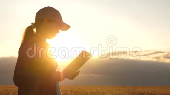 农民妇女在一片麦田里工作在夕阳下商业妇女在规划收入领域视频的预览图