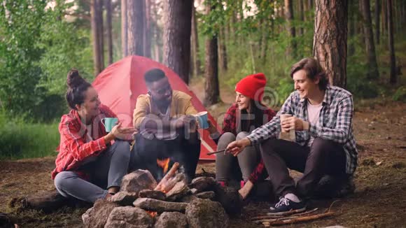 一群多民族的朋友女孩和男人围坐在森林里喝着饮料视频的预览图