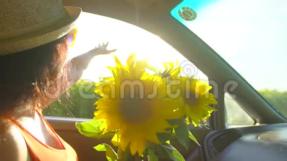 快乐的年轻旅行年轻的女人在夏天的大自然中享受旅行与向日葵花束女孩抱着胳膊放视频的预览图