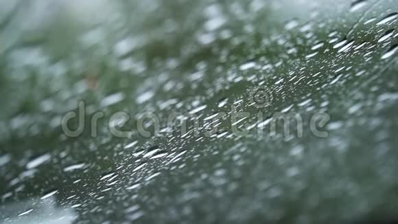 近距离观看水滴落在玻璃上雨水从窗户上流下来雨季秋天雨水滴下来视频的预览图