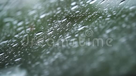 近距离观看水滴落在玻璃上雨水从窗户上流下来雨季秋天雨水滴下来视频的预览图