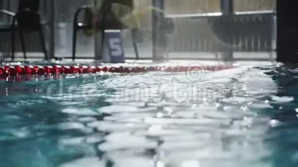 男游泳运动员在游泳池游泳慢动作视频的预览图