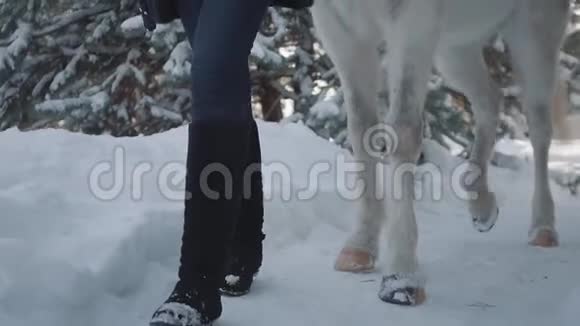 在冬天的小路上一个面目全非的女孩带着白马走着年轻女子牵着她的马青年积极农民视频的预览图