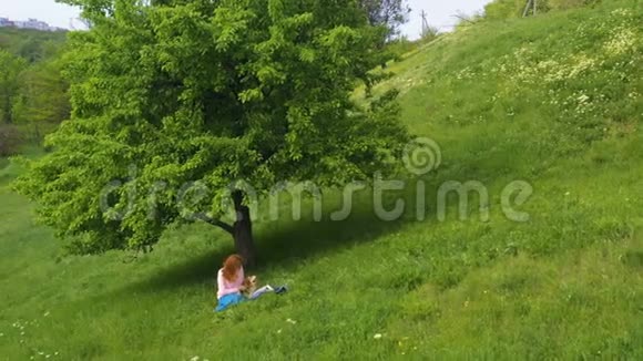 女孩和科吉狗坐在树下的草地上视频的预览图