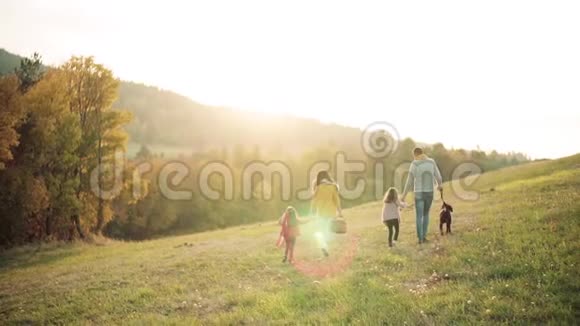 一个年轻家庭的后景有两个小孩子和一只狗在秋天的大自然散步视频的预览图
