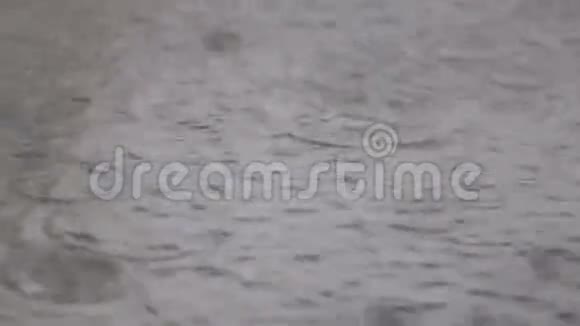水坑里的雨视频的预览图