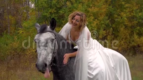 穿白色婚纱的女人在抚摸马关门视频的预览图