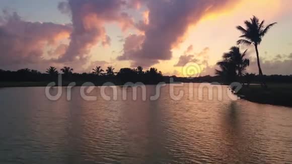 无人驾驶飞机在高尔夫球场观看湖景棕榈傍晚日落视频的预览图