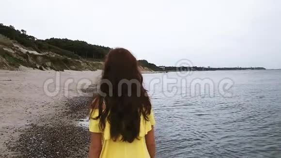 海滩上迷人的女人视频的预览图