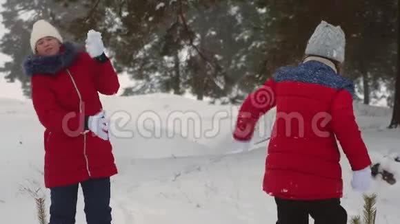 快乐的少女们在下雪的冬天玩雪球开心地笑在松林公园的孩子们呼吸新鲜空气视频的预览图