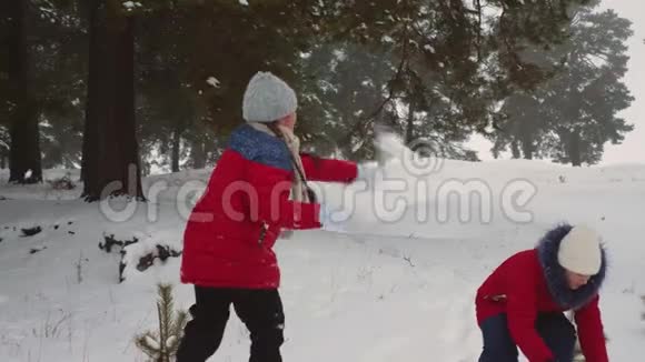快乐的少女们在下雪的冬天玩雪球开心地笑在松林公园的孩子们呼吸新鲜空气视频的预览图