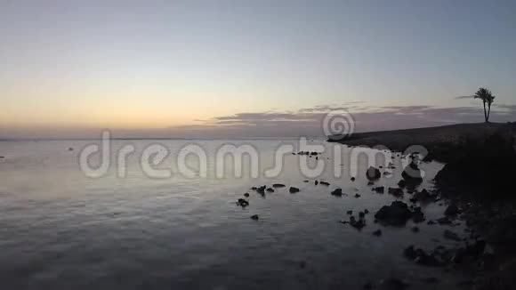 日出过海沿海暗礁低潮视频的预览图