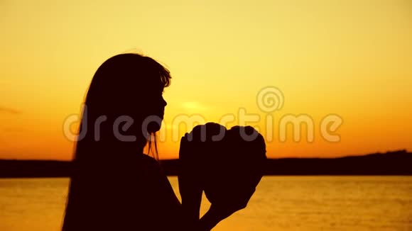 日落时分在河边抱着心的女孩剪影视频的预览图
