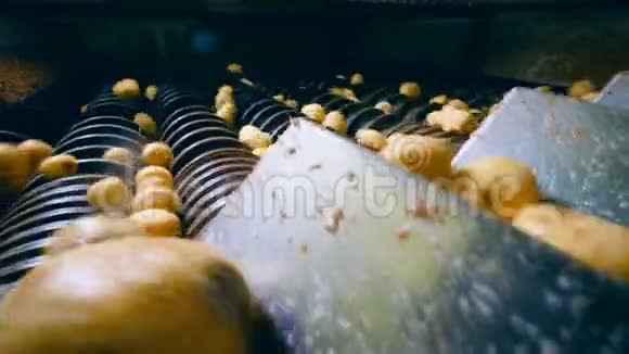 马铃薯正陷入工业切片机制视频的预览图
