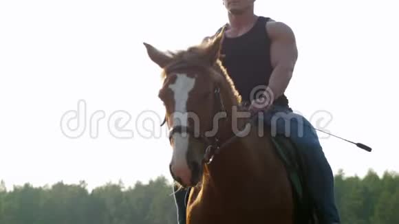 一个穿着黑色T恤和太阳镜在田野里骑马的野蛮人视频的预览图