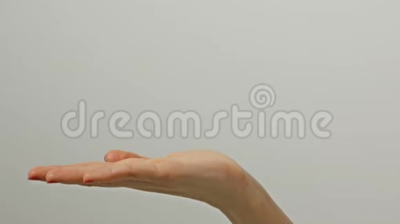 近距离观看1名女性成人伸出白种人的手在灰色背景上什么也拿不到年轻女子交视频的预览图