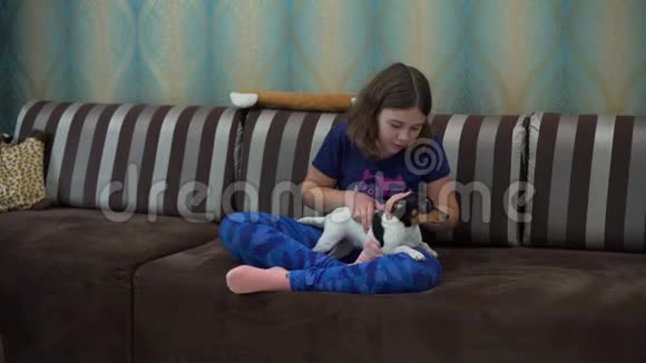 小女孩在家拥抱宠物狗视频的预览图