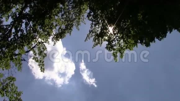 树枝在天空上视频的预览图