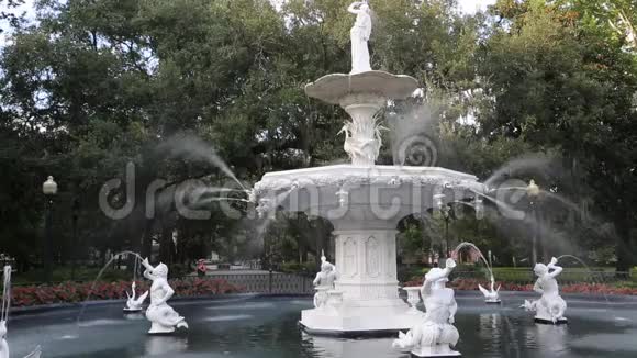 福赛斯喷泉视频的预览图