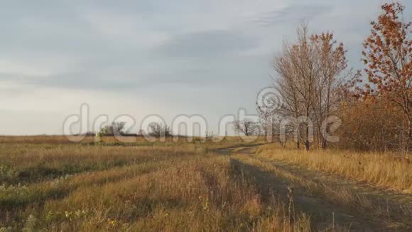 秋日的乡村道路多云的天空视频的预览图