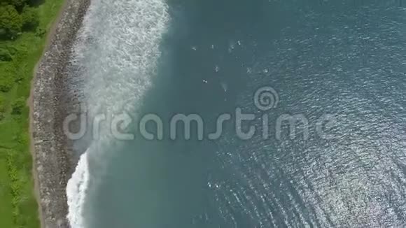 冲浪板上的冲浪者在热带假日鸟瞰中等待海浪在印度尼西亚巴厘岛的海洋冲浪水视频的预览图