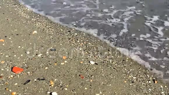 平静的海岸上的小卵石视频的预览图