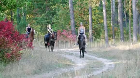 两个年轻迷人的女孩和一个年轻强壮的男人骑在马背上沿着森林的小径视频的预览图