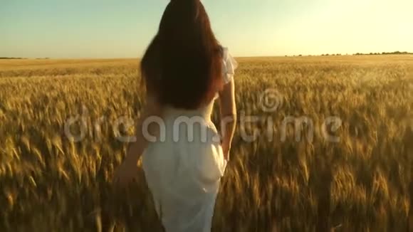 美丽的女孩走过一片成熟的小麦生态旅游女人拿着金色的麦子穿过田野视频的预览图