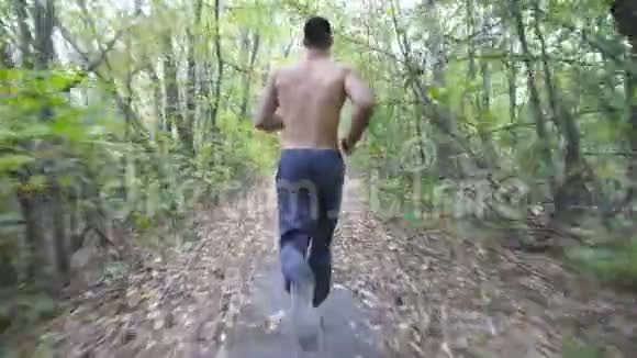 在初秋的森林里肌肉发达的运动员在小径上奔跑着年轻运动员沿着小路在视频的预览图