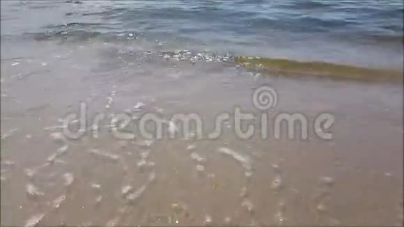 海滩上的海浪视频的预览图