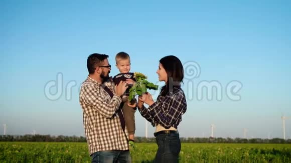 爱的父母和他们的孩子在一个领域里玩耍父亲手里拿着男孩母亲给他看一朵向日葵慢慢视频的预览图