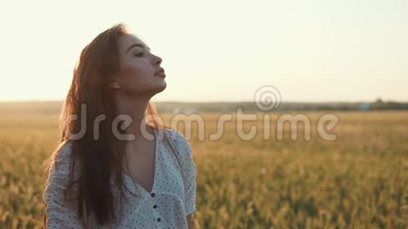 夏天日落时分美丽的黑发女孩独自站在麦田里视频的预览图