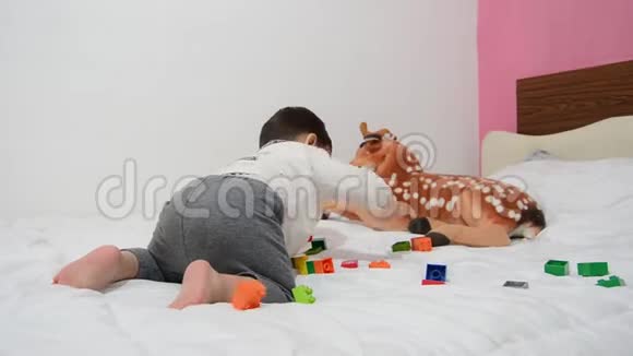 一个半岁的男孩在床上玩乐高积木和软玩具视频的预览图
