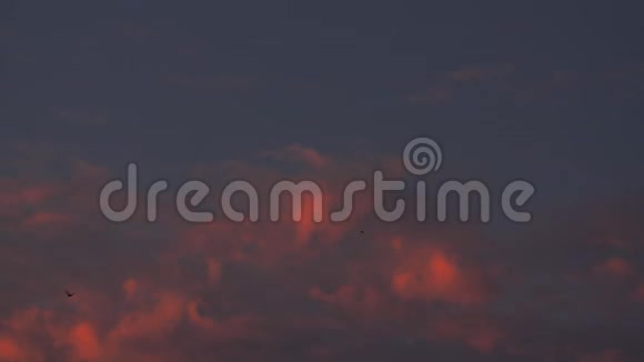 日落后起飞飞机顶着傍晚的天空视频的预览图