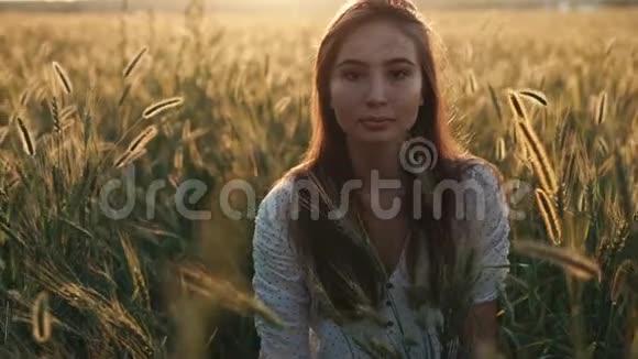 寂寞平静的少女正坐在麦穗里在夏日的夕阳下视频的预览图