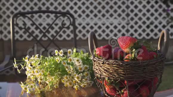 花园里一个篮子里的草莓靠近女人手自然背景视频的预览图