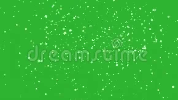 美丽的圣诞雪花从上到下飞舞在绿色背景下隔离视频的预览图